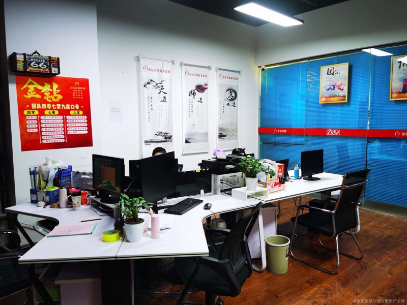 市场调研分析:洞察企业发展脉动
